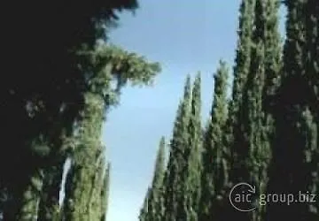 Vecchio Borgo Di Inalbi * Impruneta